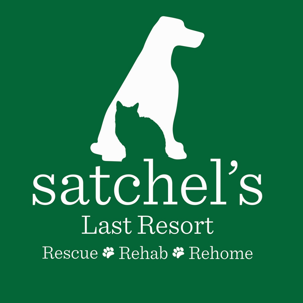 Logo for "Satchels Last Resort"