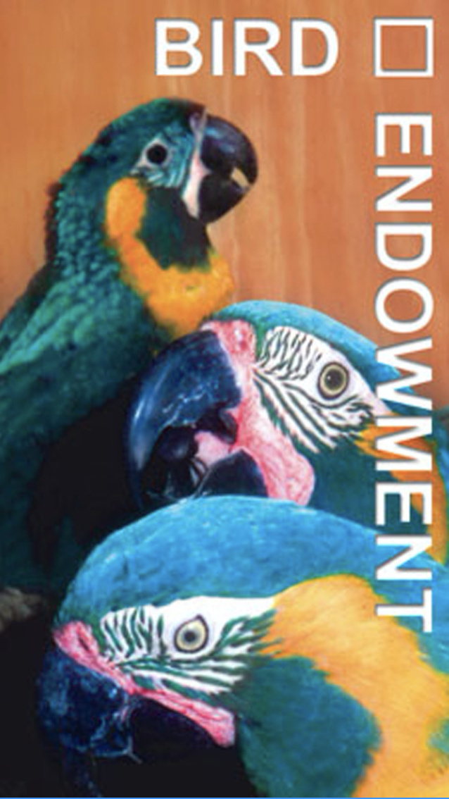 Logo for "BIRD ENDOWMENT"