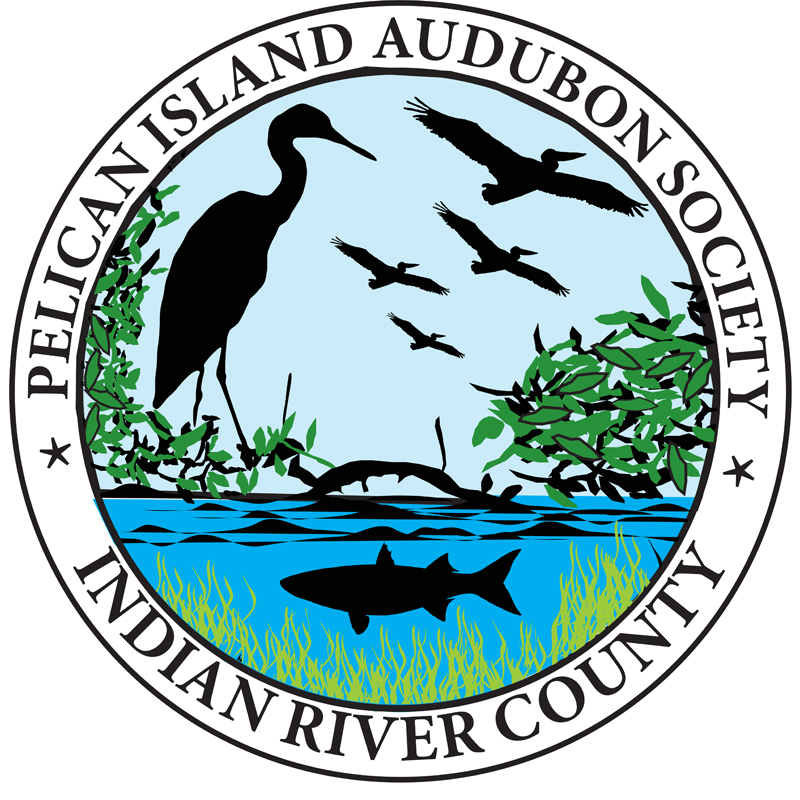 Logo for "PELICAN ISLAND AUDUBON SOCIETY INC"