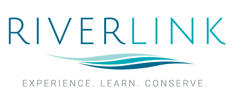 Logo for "RiverLink Inc"