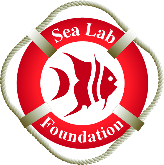 Logo for "Dauphin Island Sea Lab Foundation Inc"