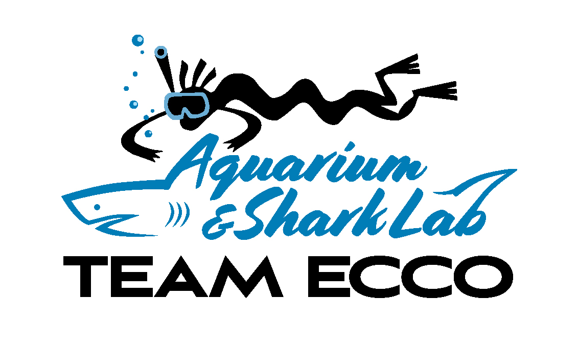 Logo for "TEAM ECCO INC"