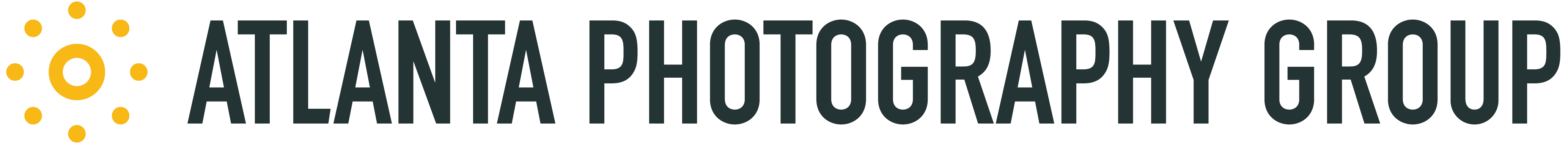 Logo for "Atlanta Photography Group Inc"