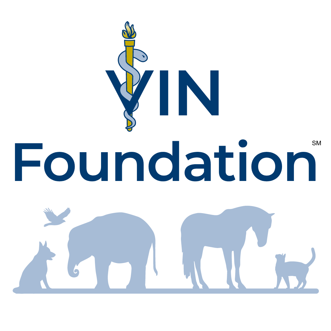 Logo for "VIN FOUNDATION"
