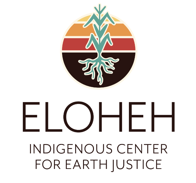 Logo for "ELOHEH EAGLES WINGS"
