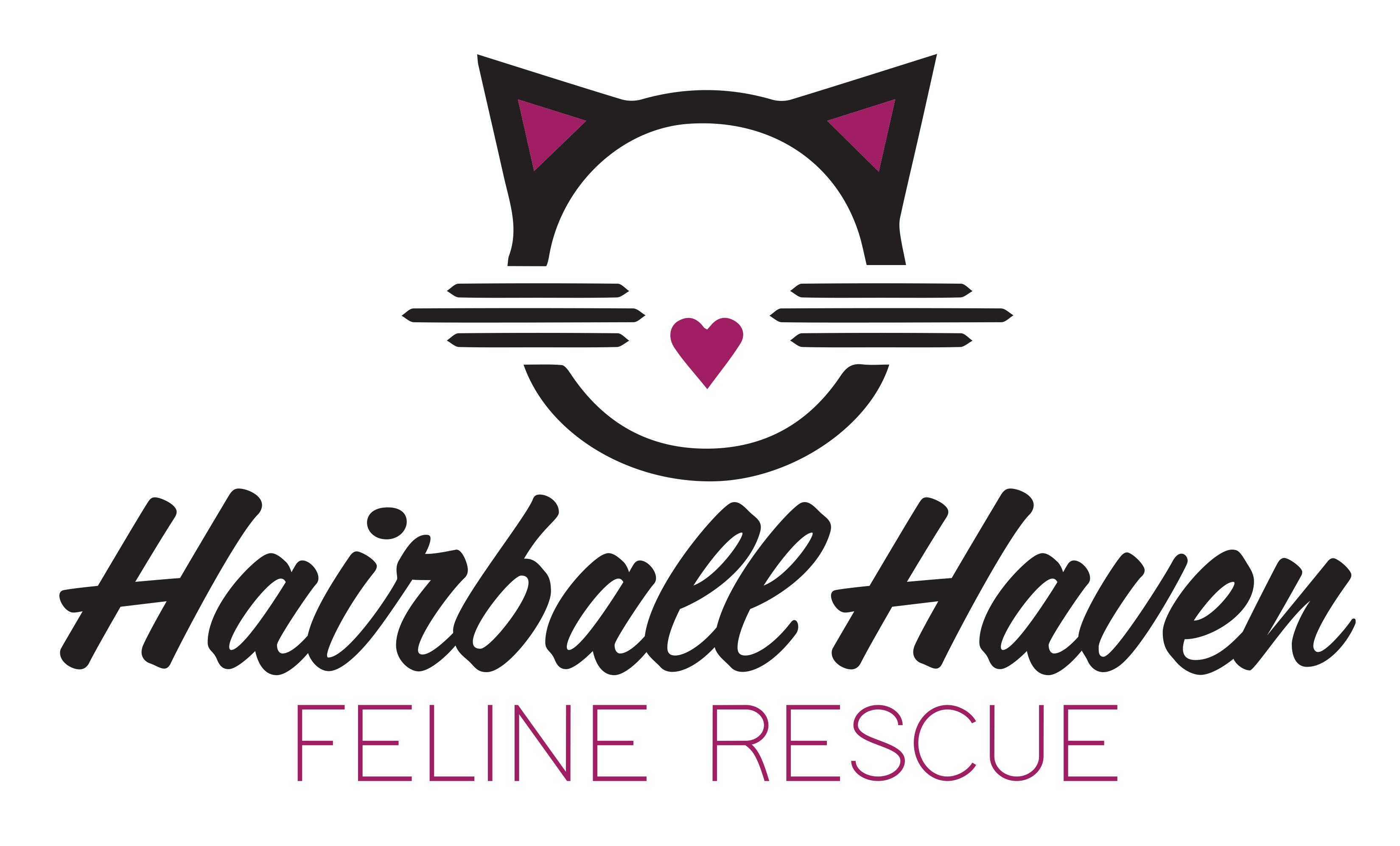 Logo for "HAIRBALL HAVEN"