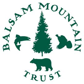Logo for "Balsam Mountain Trust"