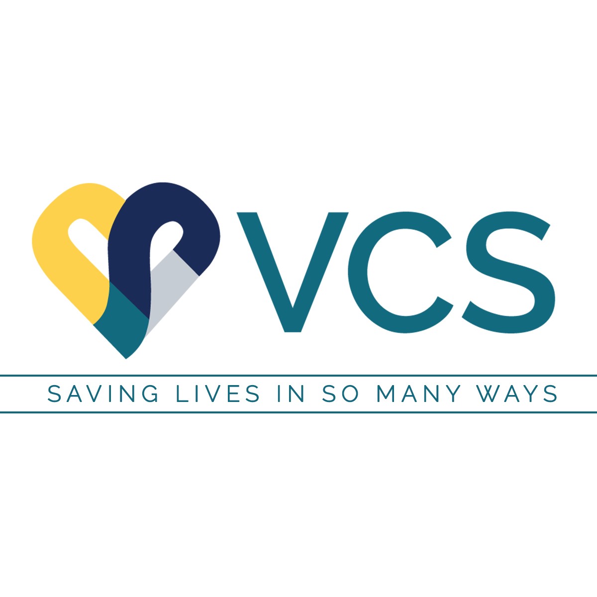 Logo for "VCS INC"