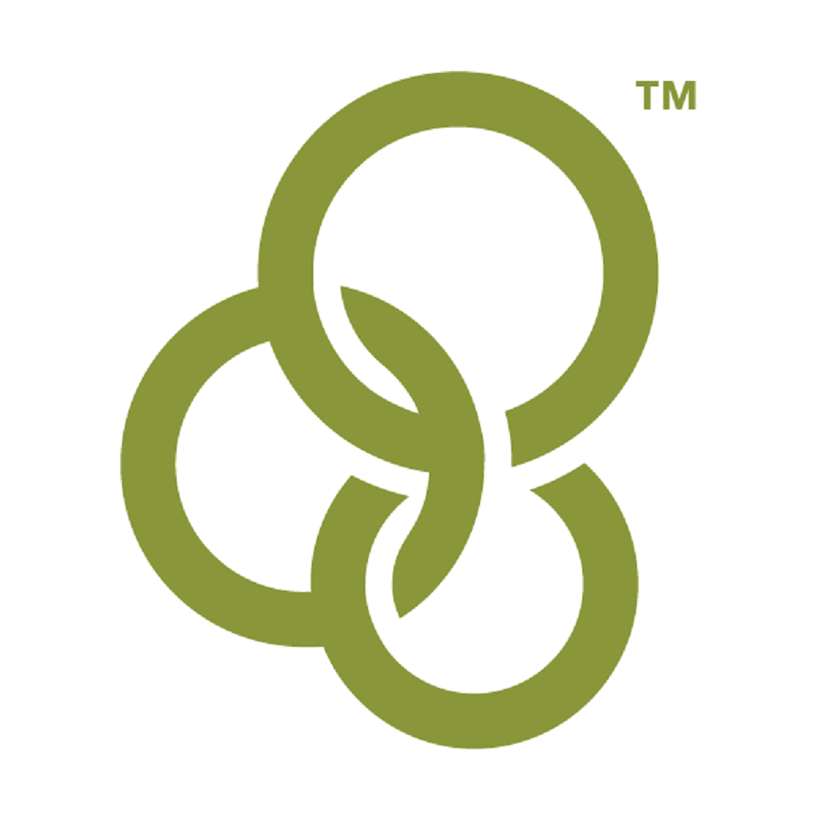 Logo for "YOUTH FOR CHRIST CENTRAL VALLEY"