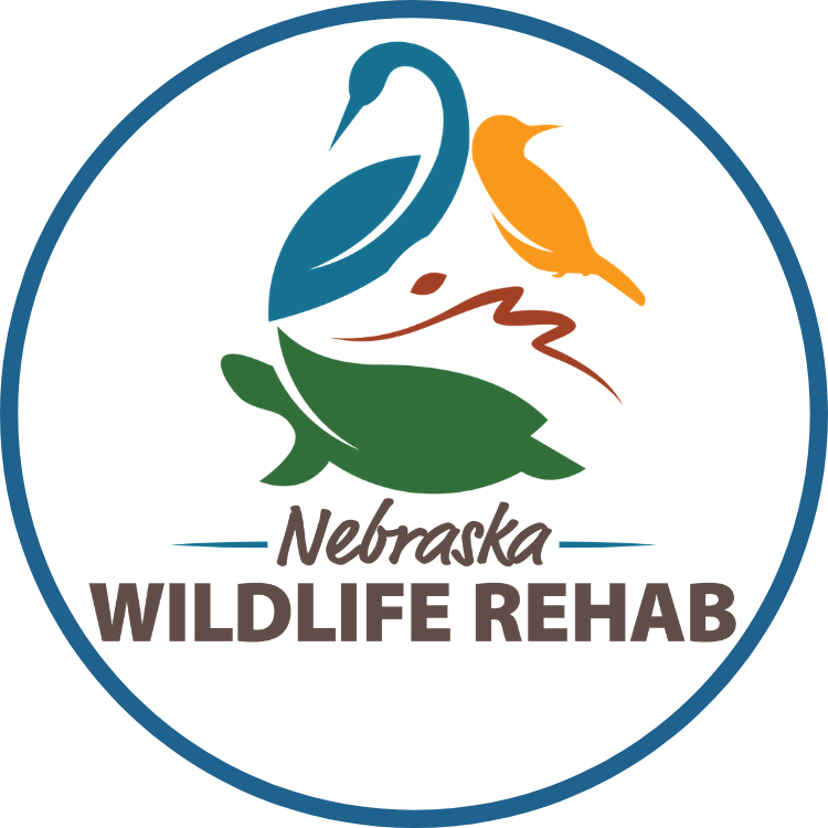 Logo for "NEBRASKA WILDLIFE REHAB INC"