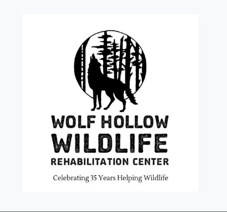 Logo for "WOLF HOLLOW WILDLIFE REHABILITATION CENTRE"