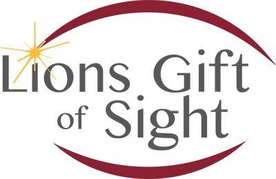 Logo for "MINNESOTA LIONS VISION FOUNDATION INC"