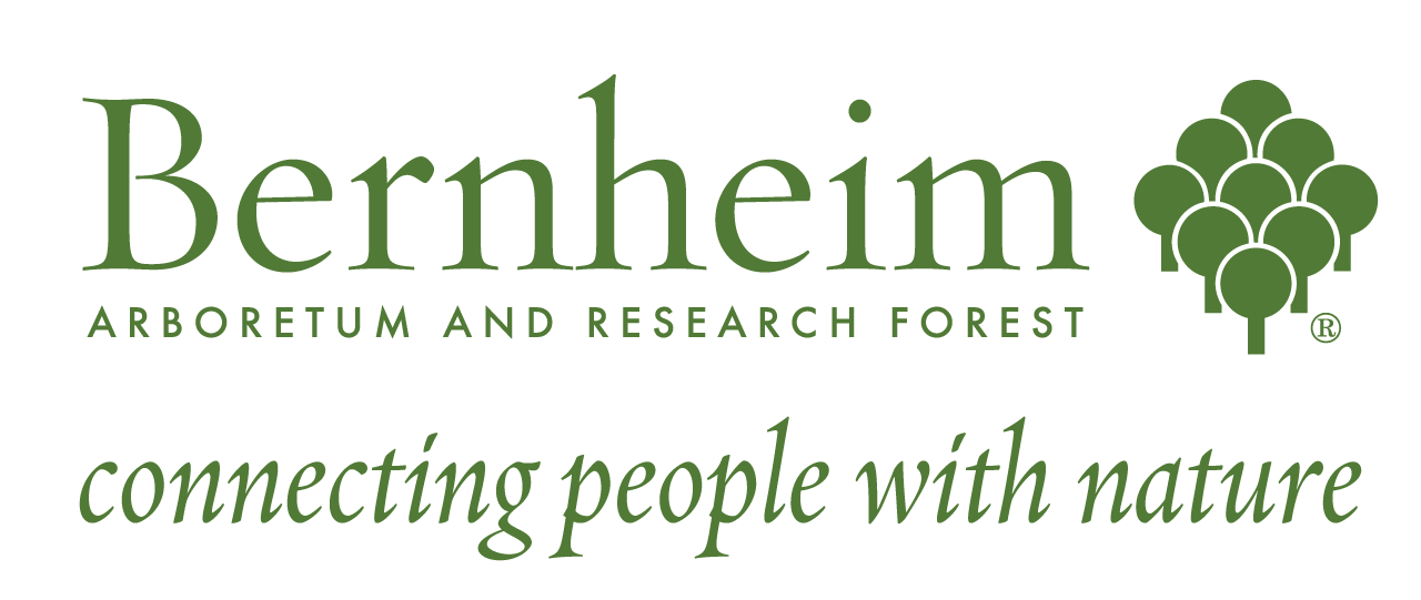 Logo for "ISAAC W BERNHEIM FOUNDATION"