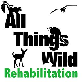 Logo for "ALL THINGS WILD REHABILITATION INC"
