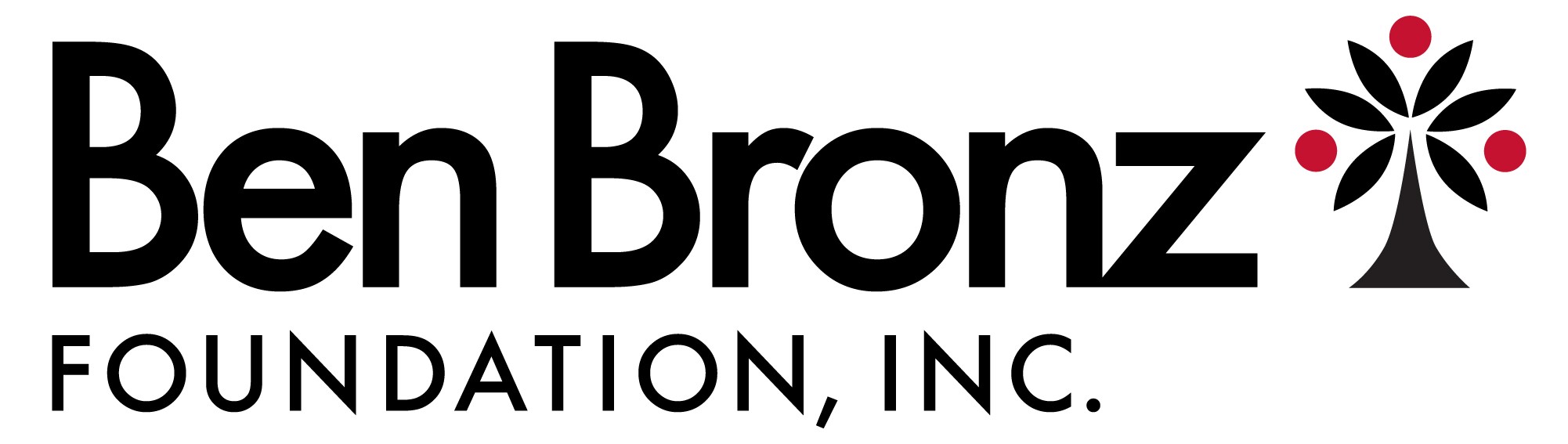 Logo for "BEN BRONZ ACADEMY INC"