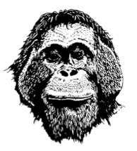 Logo for "ORANGUTAN FOUNDATION INTERNATIONAL"