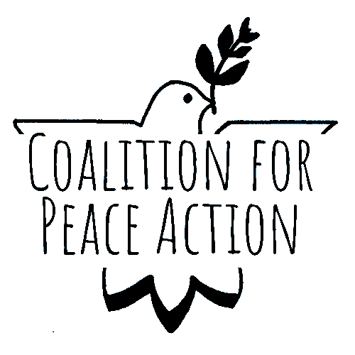 Logo for "PEACE ACTION EDUCATION FUND"