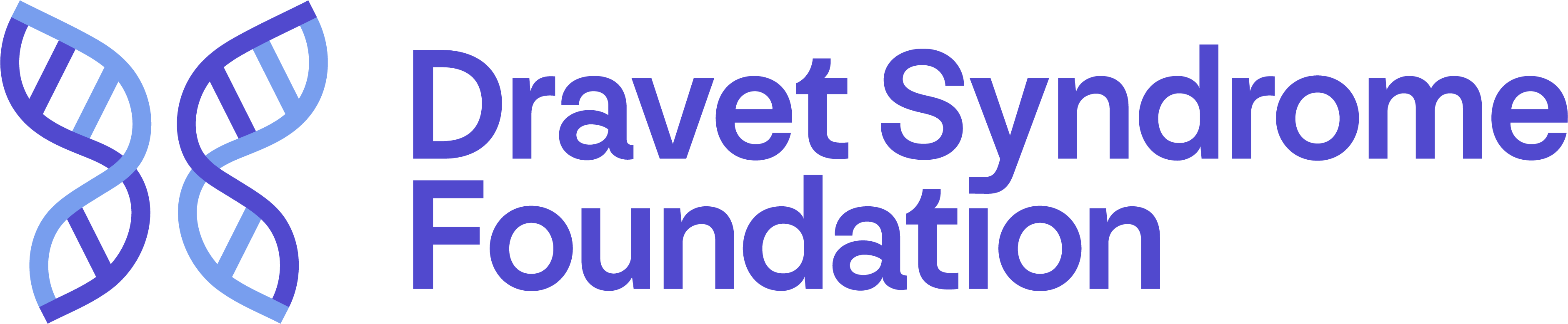 Logo for "DRAVET SYNDROME FOUNDATION INC"