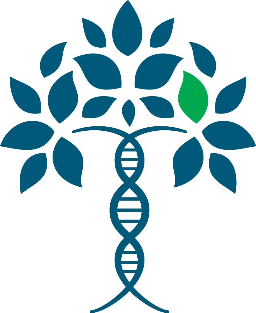 Logo for "JOUBERT SYNDROME AND RELATED DISORDERS FOUNDATION"