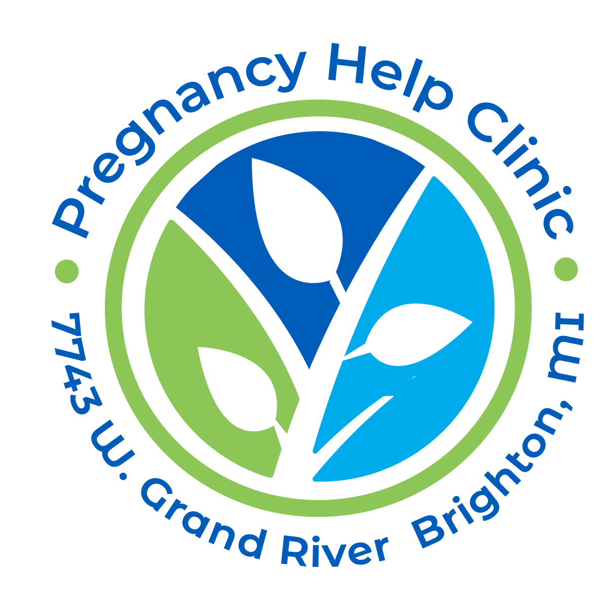 Logo for "PREGNANCY HELPLINE"