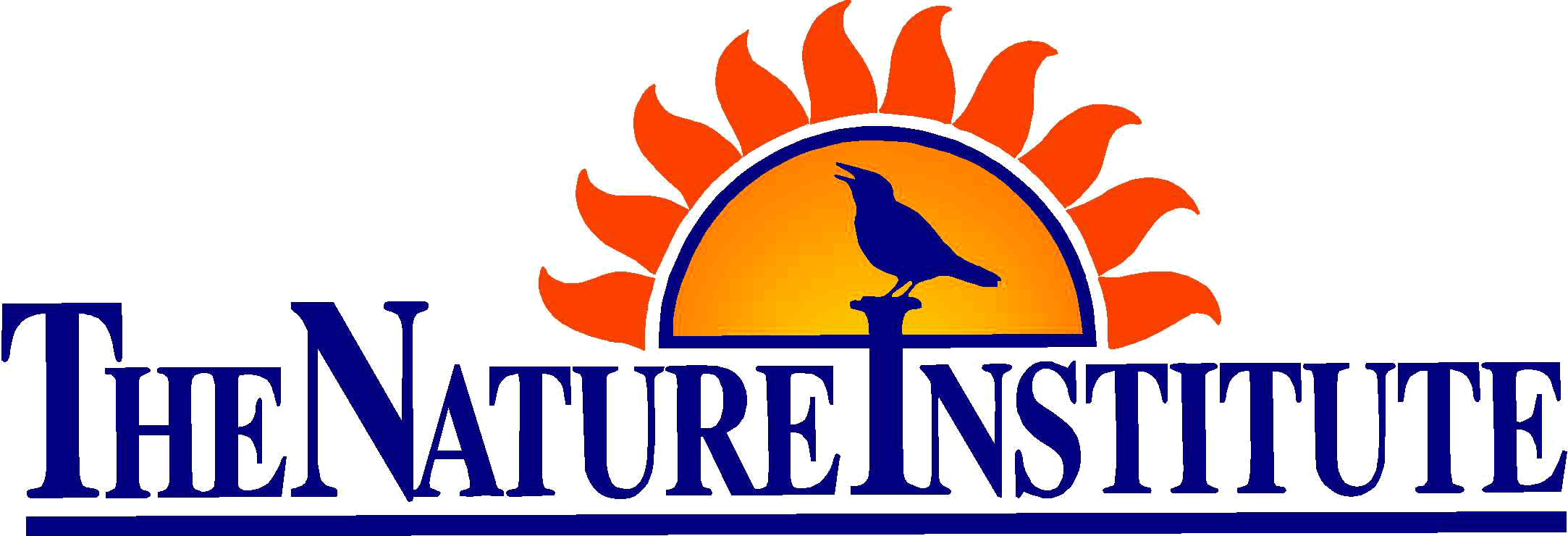 Logo for "THE NATURE INSTITUTE"