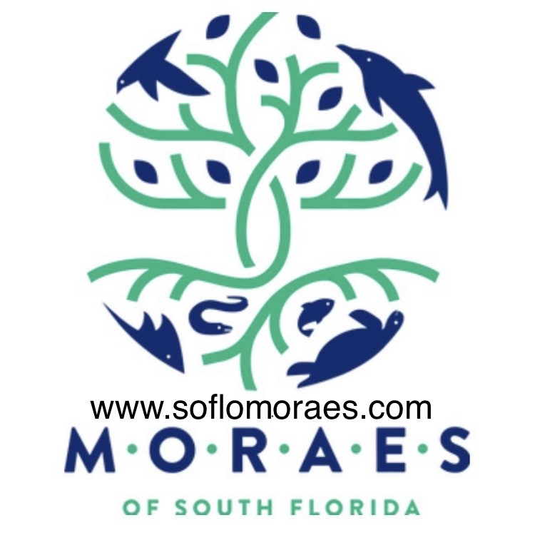 Logo for "Marine Order For Research And Action Through Environmental Stewardship Inc"
