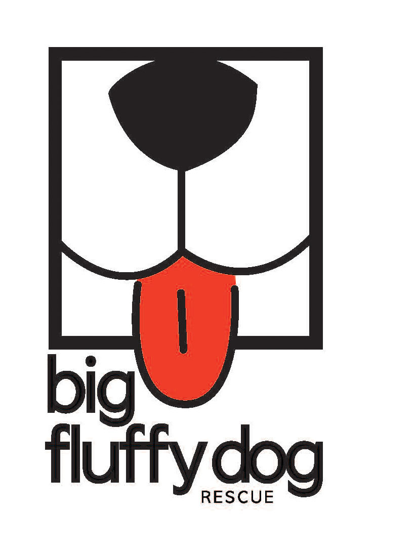 Logo for "BIG FLUFFY DOG RESCUE"