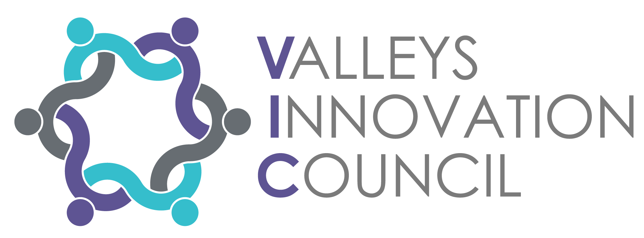 Logo for "ROANOKE BLACKSBURG INNOVATION NETWORK"