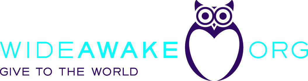 Logo for "Wide Awake International Inc"