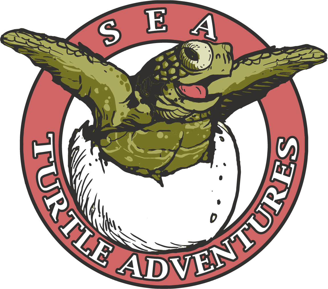 Logo for "SEA TURTLE ADVENTURES INC"