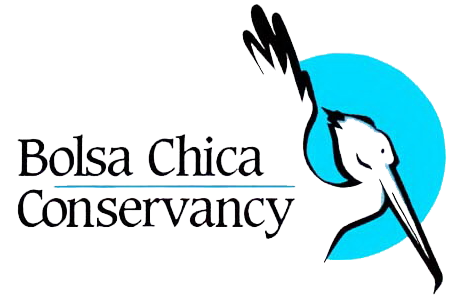 Logo for "BOLSA CHICA CONSERVANCY"