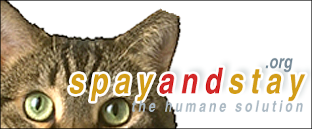 Logo for "SPAY AND STAY"