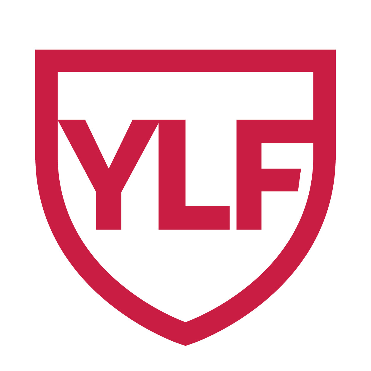 Logo for "Youth Leadership Foundation Inc"