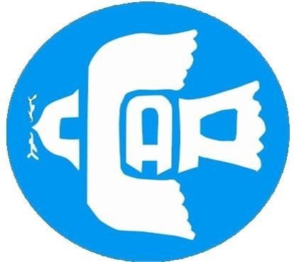 Logo for "CONGREGATIONAL COMMUNITY ACTION PROJECT INC"