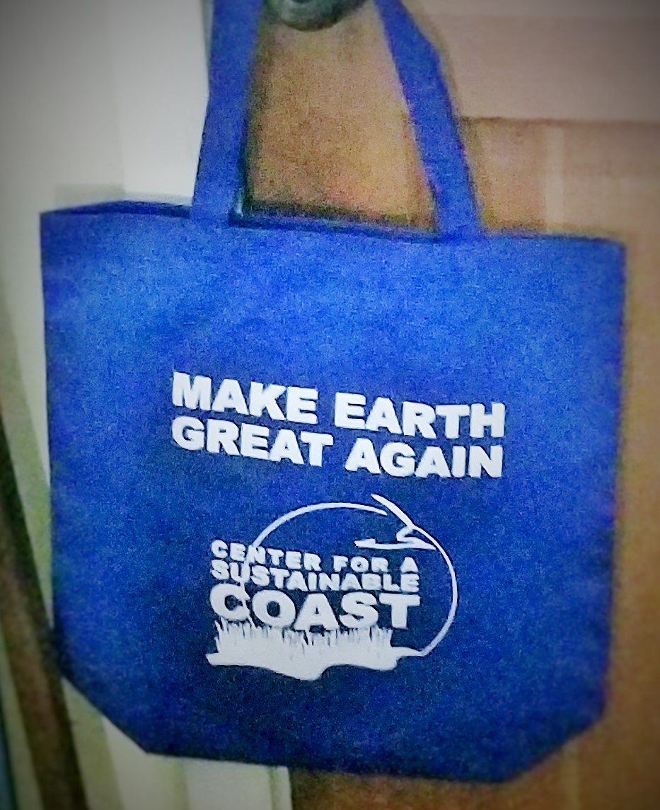 Logo for "Center for Sustainable Coast"