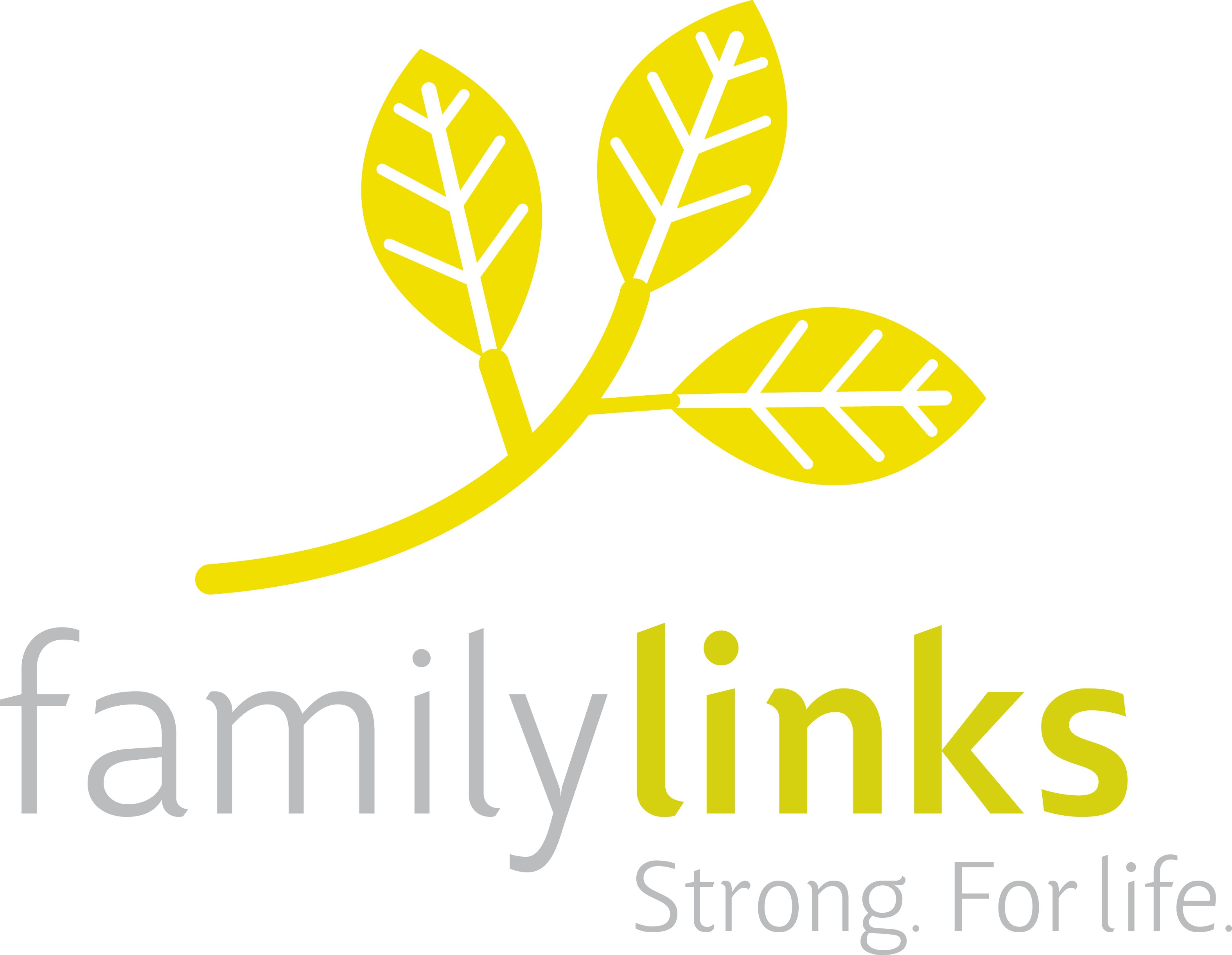 Logo for "FAMILYLINKS INC"
