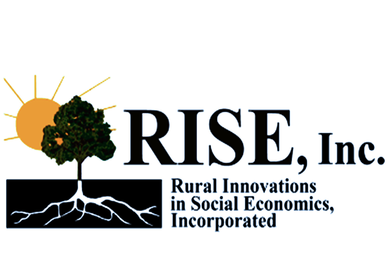 Logo for "RURAL INNOVATIONS IN SOCIAL ECONOMICS INC"