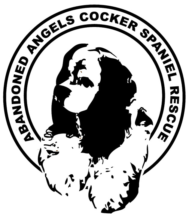 Logo for "ABANDONED ANGELS COCKER SPANIEL RESCUE INC"