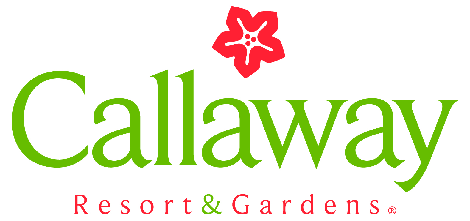 Logo for "Ida Cason Callaway Foundation"