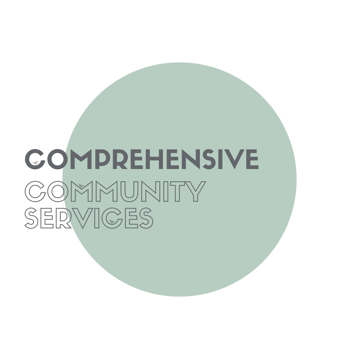 Logo for "COMPREHENSIVE COMMUNITY SERVICES INC"