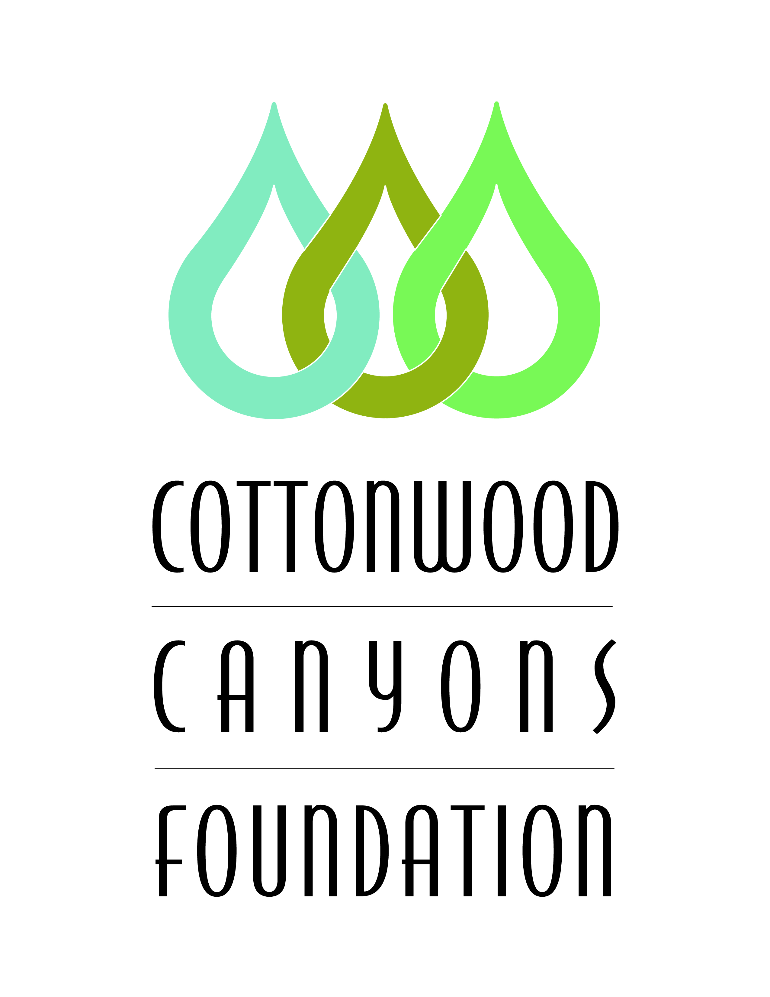 Logo for "COTTONWOOD CANYONS FOUNDATION"