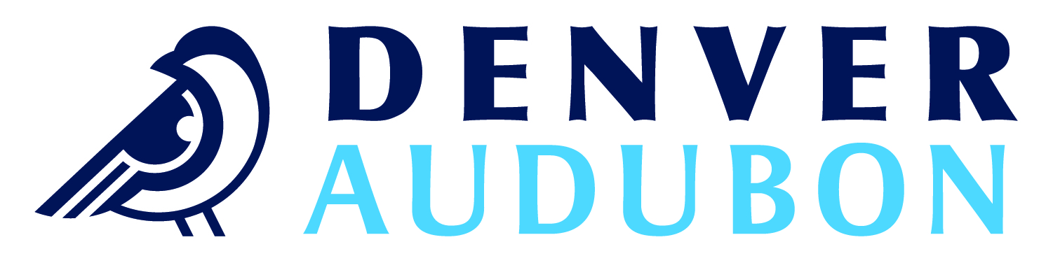 Logo for "DENVER AUDUBON"