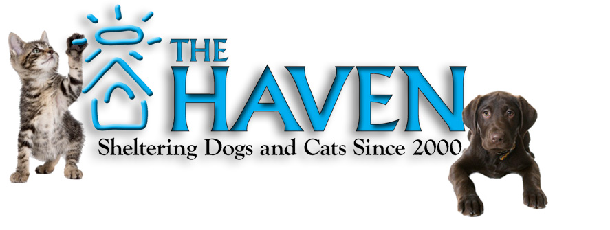 Logo for "THE HAVEN"