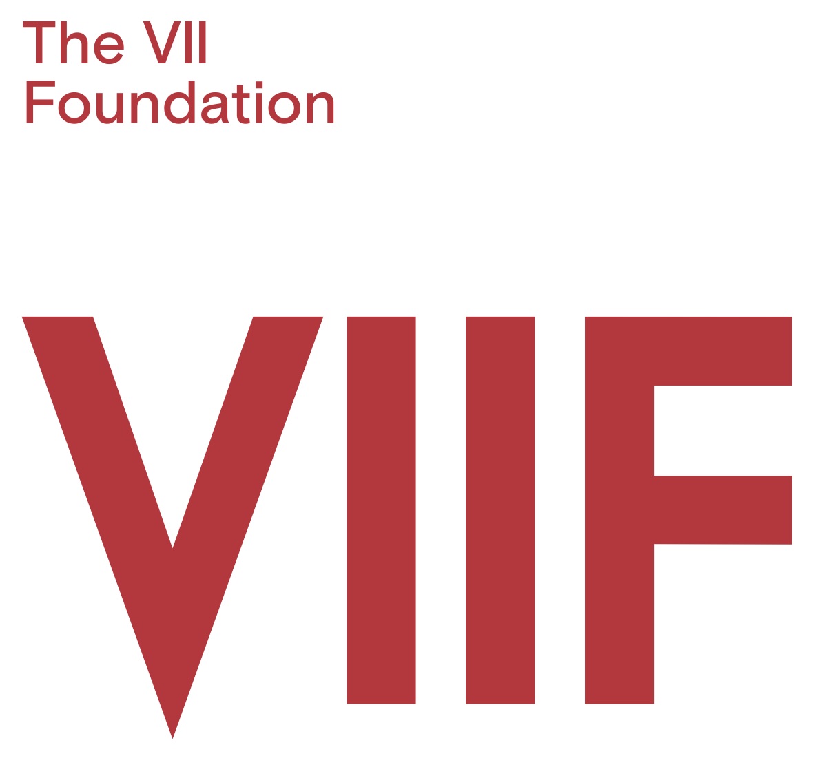 Logo for "THE VII FOUNDATION INC"