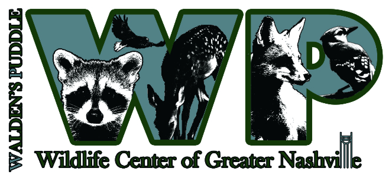 Logo for "WALDENS PUDDLE WILDLIFE REHABILITATION & EDUCATIO"