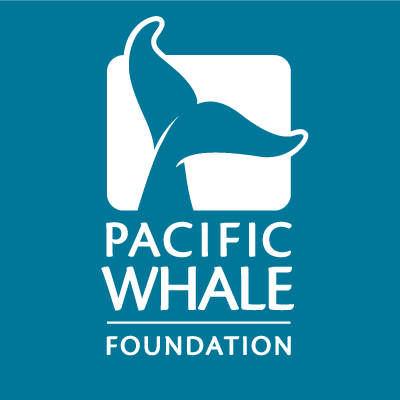 Logo for "PACIFIC WHALE FOUNDATION"