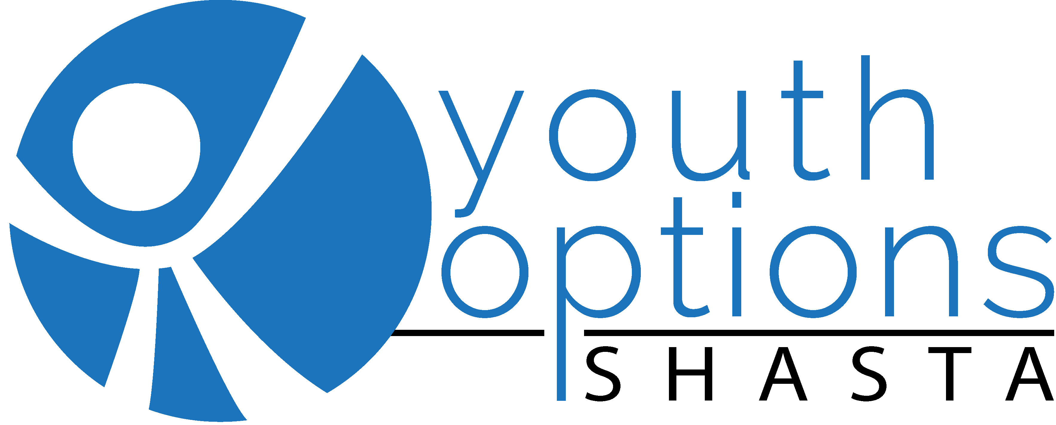 Logo for "Youth Violence Prevention Council of Shasta County dba Youth Options Shasta"
