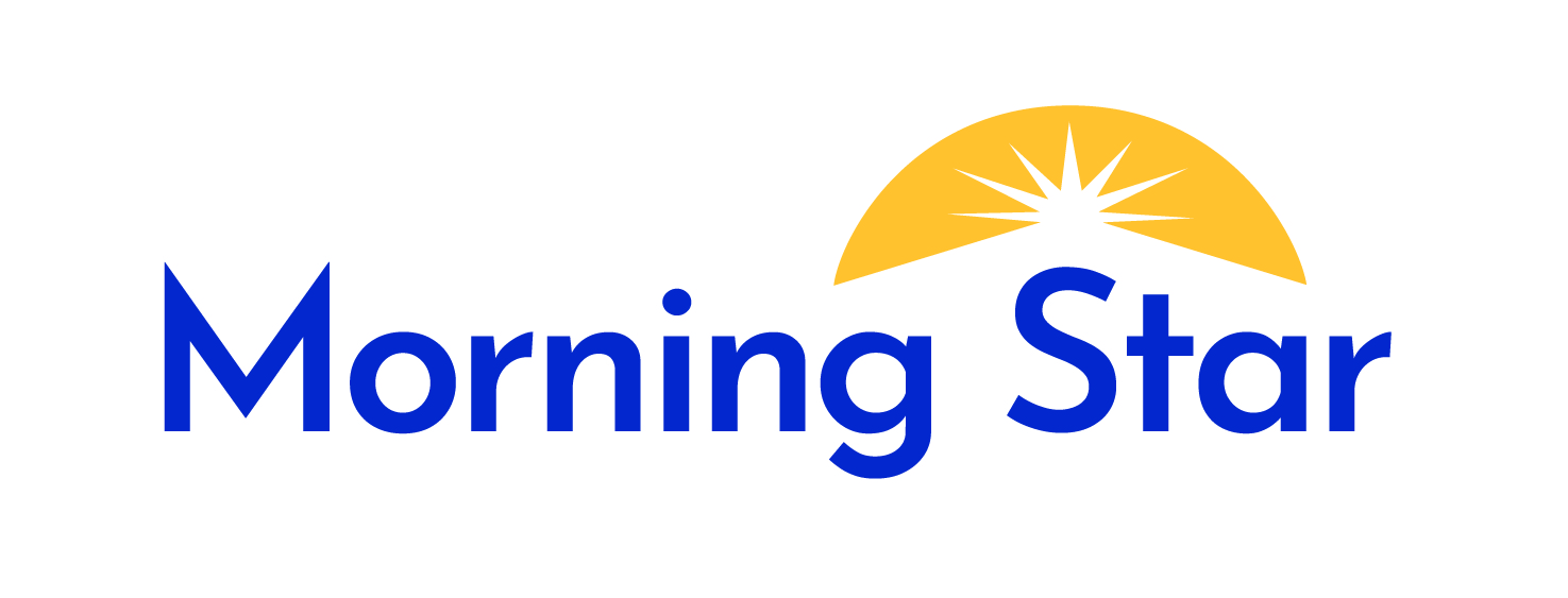 Logo for "MORNING STAR PREGNANCY SERVICES"
