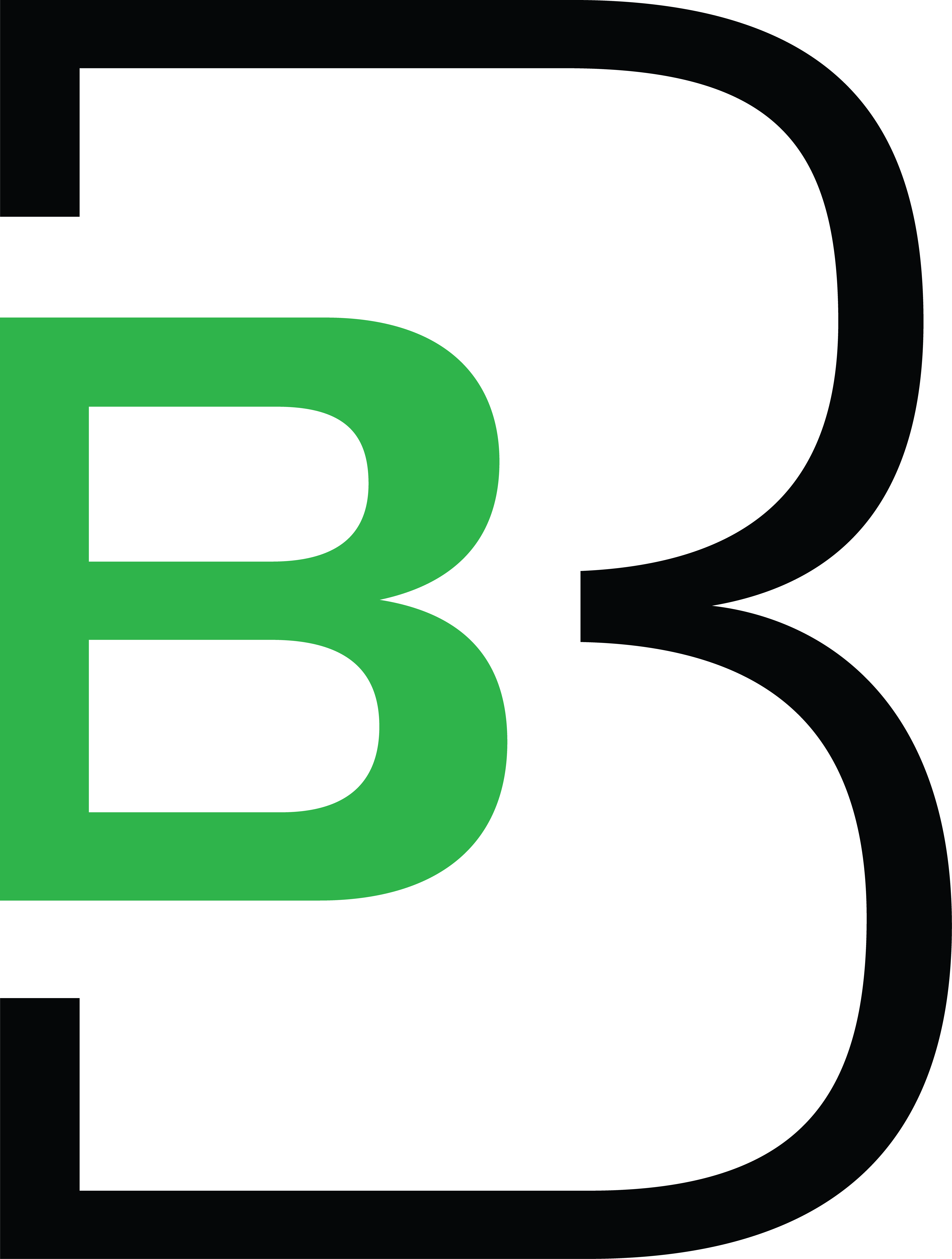Logo for "BREAKING BARRIERS DEVELOPMENTALLY DISABLED SERVICE"