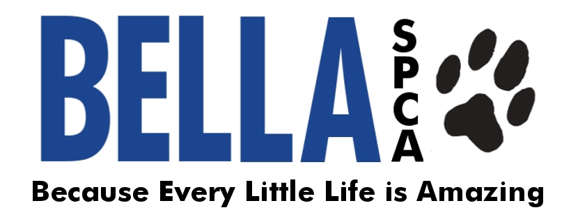 Logo for "THE BELLA FOUNDATION INC SPCA"